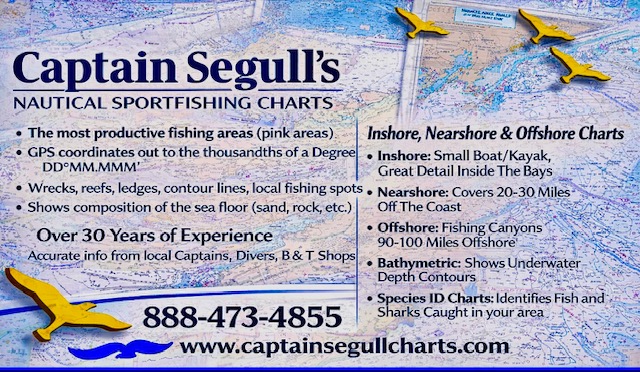Captain Seagull Charts (card coming soon)